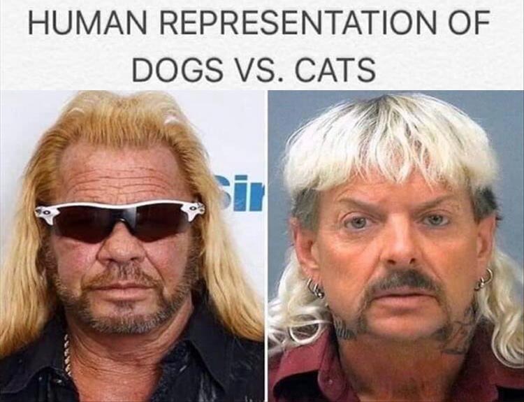 dogs-or-cats.jpg