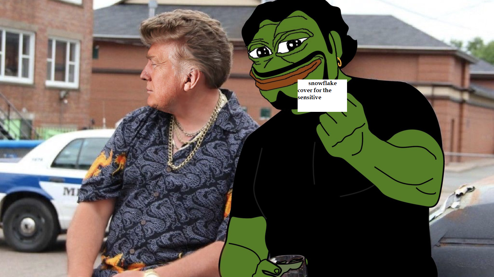 don and the frog.png