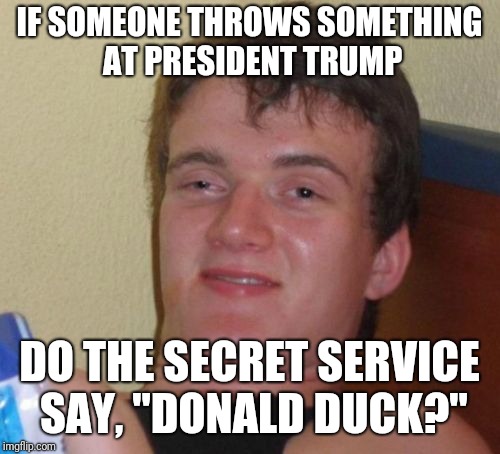 donald duck.jpg