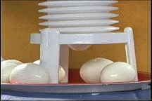 EA9C736E-3B6F-4B2F-95FD-3A4B4A12624F.gif