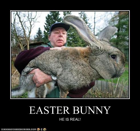 Easter-Bunny-Has-Arrived-2.jpg