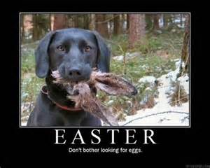 Easterdog.jpg