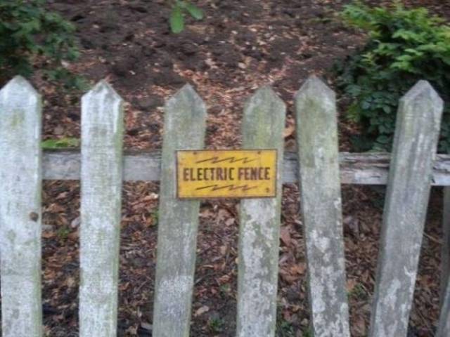 electric fence.jpg