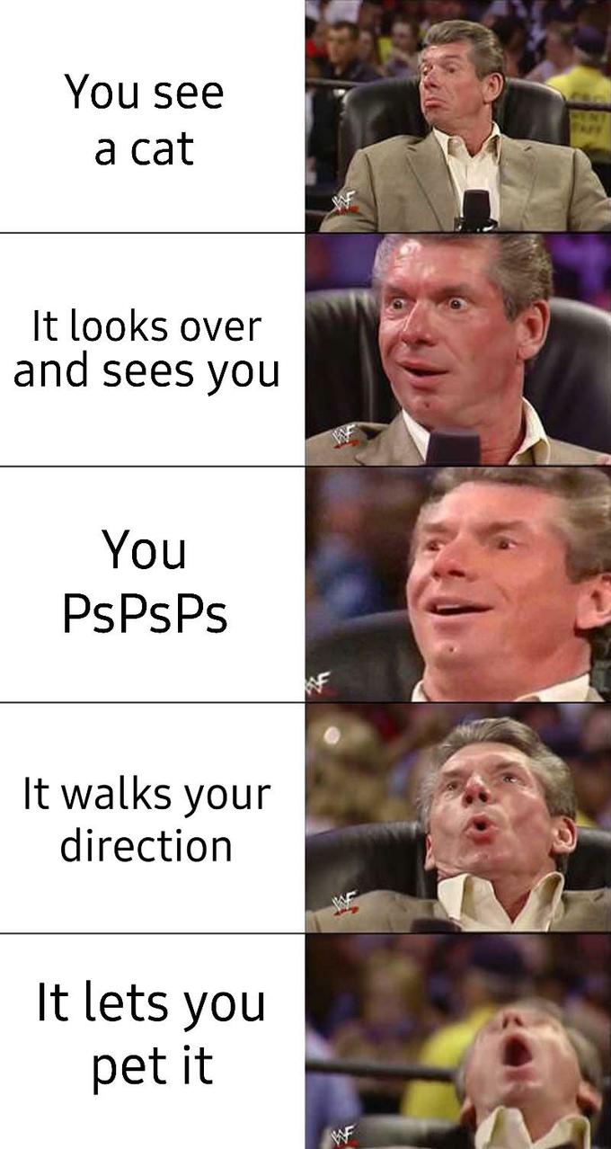 f25.jpg