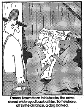 far side.gif