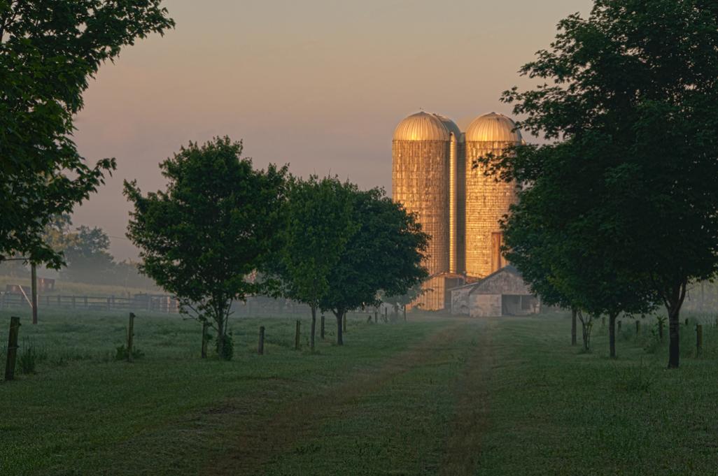 Foggy Morning Silos_web.jpg