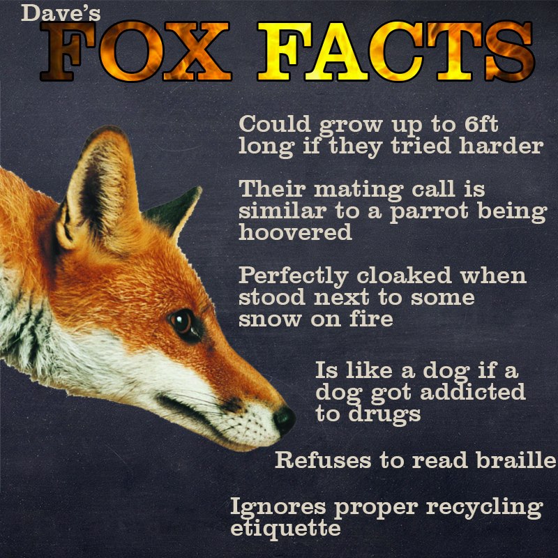 foxfacts.jpg