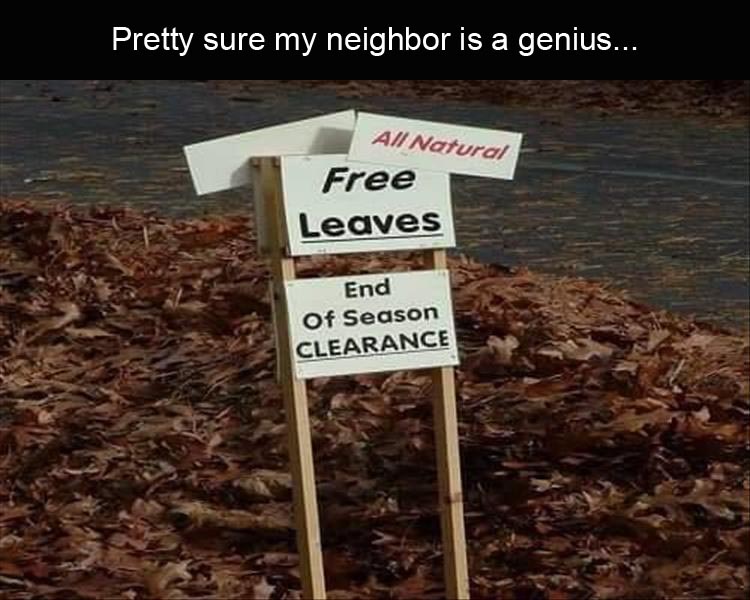 free-leaves.jpg