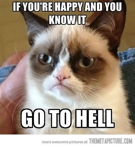 funny-angry-cat-face-Siamese.jpg