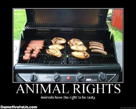 funny-animal-rights-grill-demotivational-poster.jpg