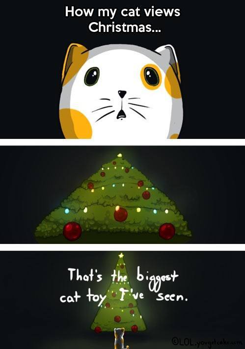 funny-cat-Christmas-tree-decoration.jpg