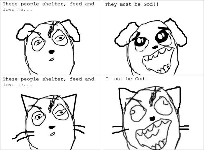 funny-cats-vs-dogs-comics-43-59c8bb3ef1b17__700.jpg