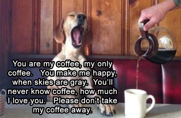 funny-coffee.jpg