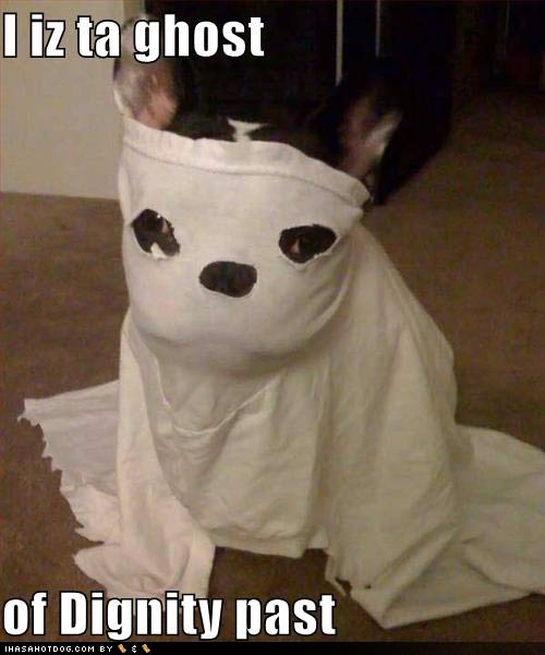 funny-dog-pictures-i-is-ghost-jpg.jpg