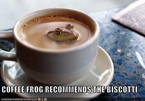 Funny Frog Photos_2.jpg