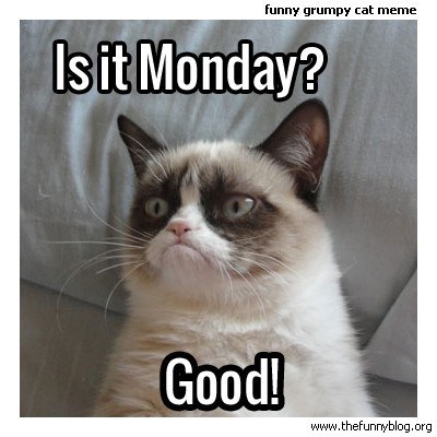 funny-grumpy-cat-meme-monday-good.jpg