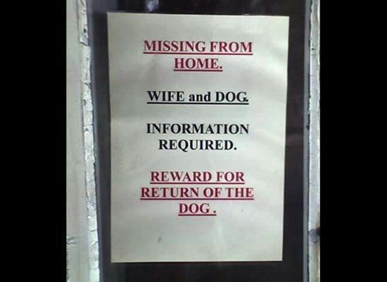 funny-lost-pet-signs-20.jpg