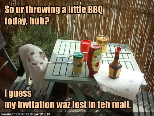 funny-pictures-cat-is-angry-you-are-having-a-bbq.jpg