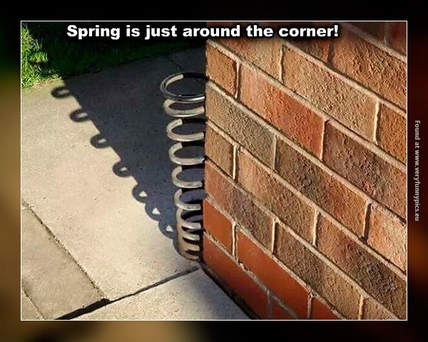 funny-pictures-spring-is-comming.jpg