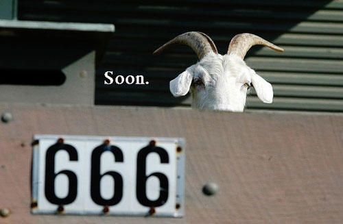 funny-soon-meme-satan-goat.jpg.cf.jpg