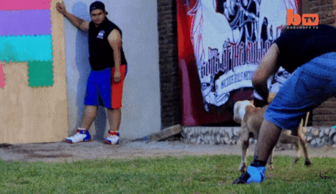 gifdump_1293_06.gif