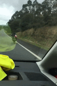 gifdump_1392_04.gif