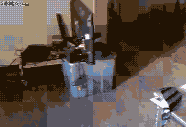 giphy.gif
