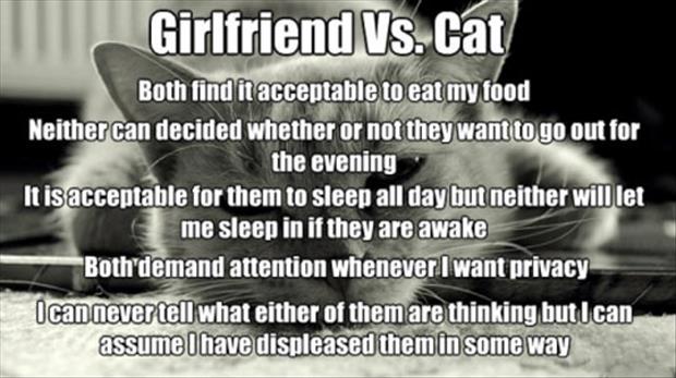 girlfriend-vs-cats.jpg