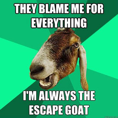 GoatMeme2.jpg.cf.jpg