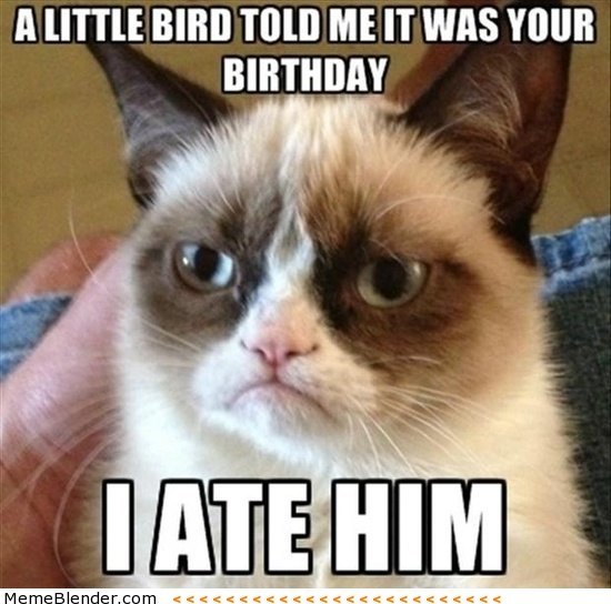 grumpy-cat-a-little-bird-birthday.jpg