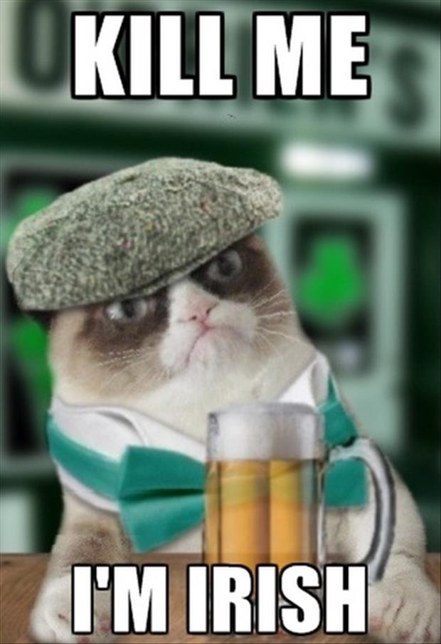 grumpy-irish-cat1.jpg