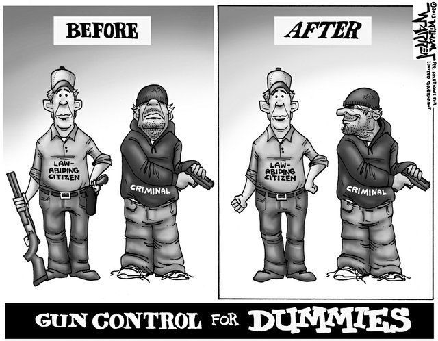 guncontrolcartoon.jpg