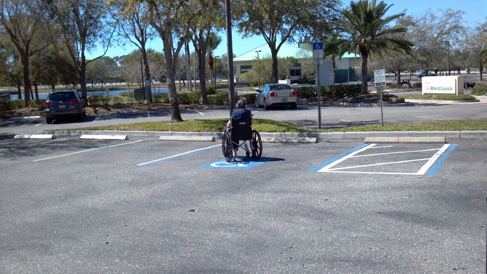 HandicappedinHandicapped.jpg