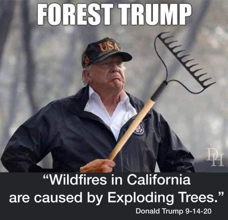 hat-forest-trump-usa-wildfires-california-are-caused-by-exploding-trees-donald-trump-9-14-20.jpeg