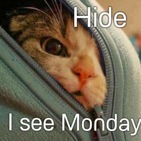 hide-monday.png