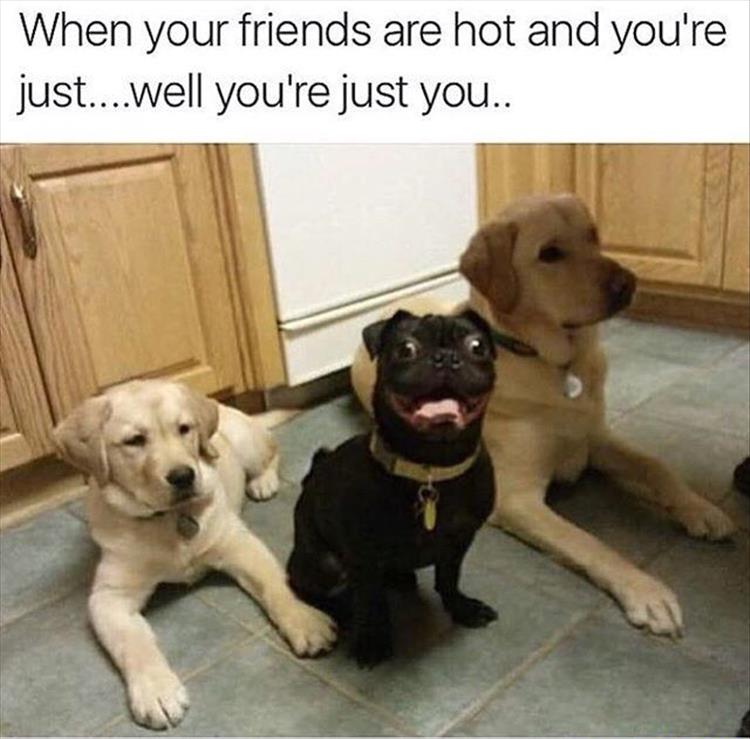 hot-friends.jpg