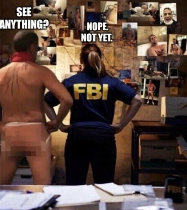 Hunter-and-FBI.jpg