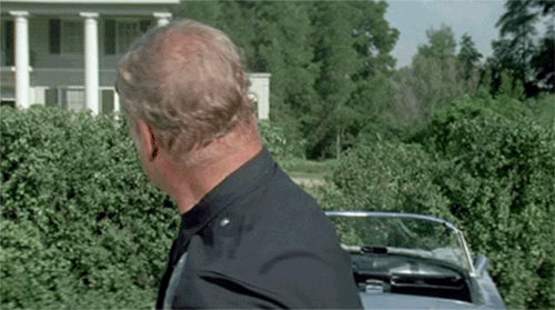 image.gif