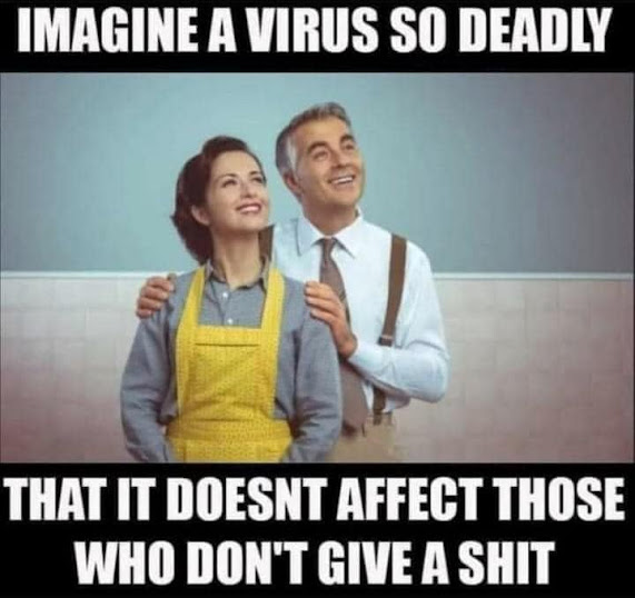 imagine a virus.jpg