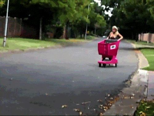 IMG_1486.GIF