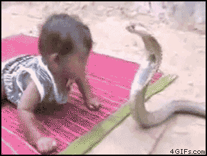IMG_1577.GIF