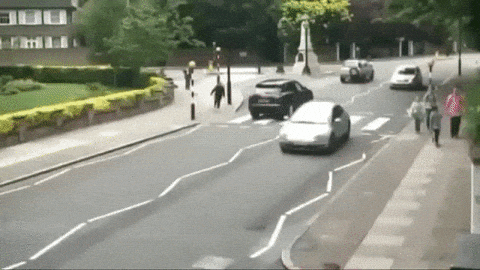 IMG_2168.gif