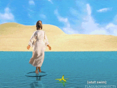 IMG_4212.GIF