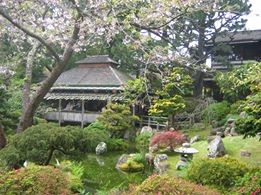 Japanese garden.jpg