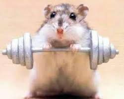 Jingles lifting weights.jpg