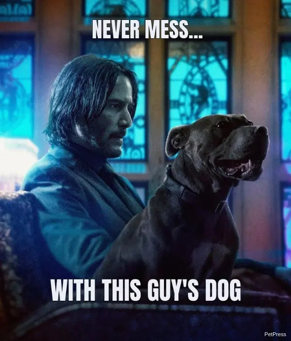 john-wick-dog.jpg