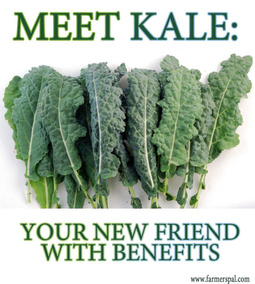 kale-benefits-1.jpeg.jpg