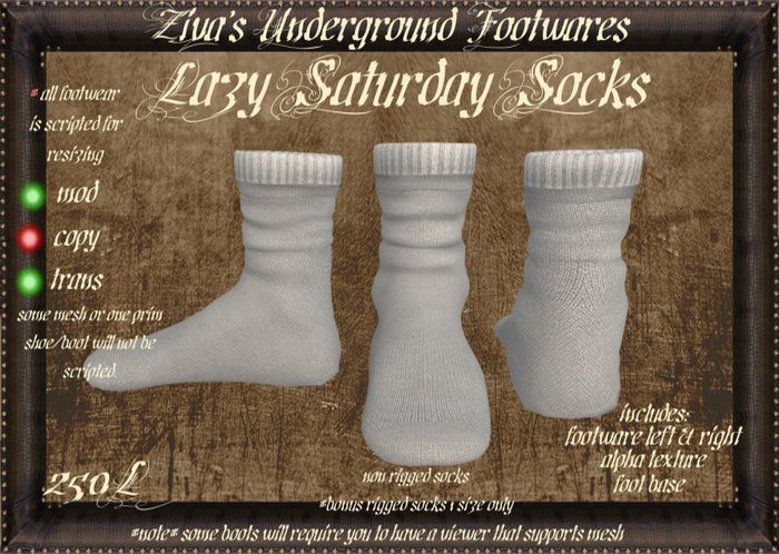 LazySaturdaySocks-Unisex-SalesPic.jpg