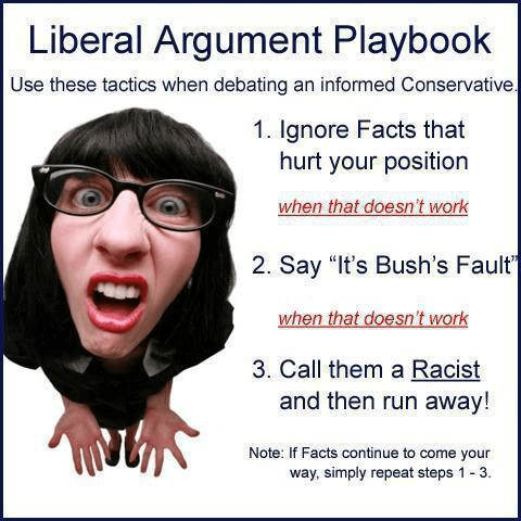 liberal argument playbook.png