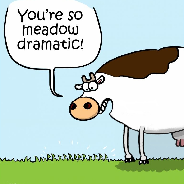 MEADOW DRAMATIC COW.jpg